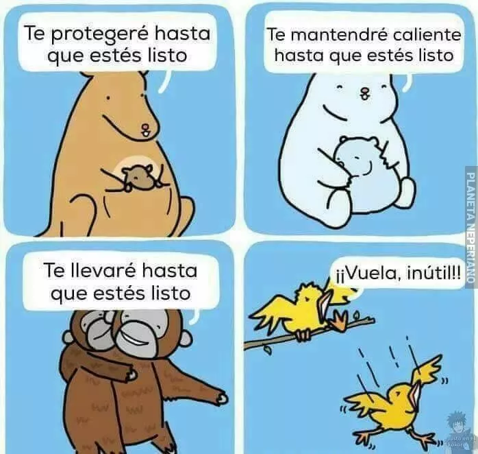 Algunos animas y sus instintos maternales