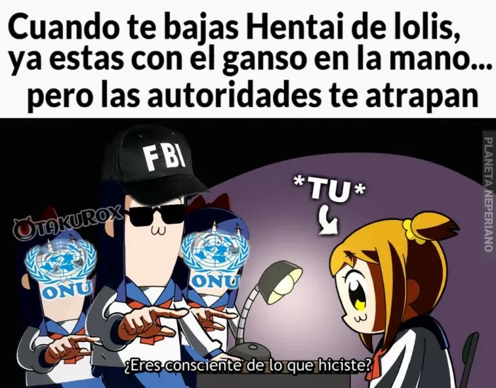 sin pelito hay delito 