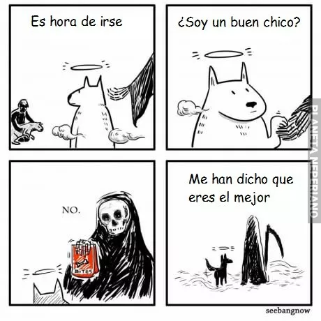 Adiós mejor amigo