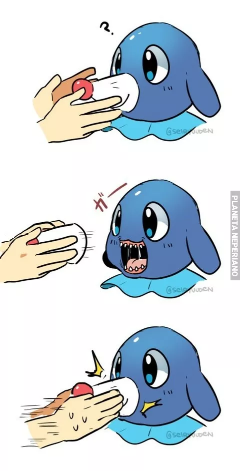 Popplio es más perturbador de lo que parece