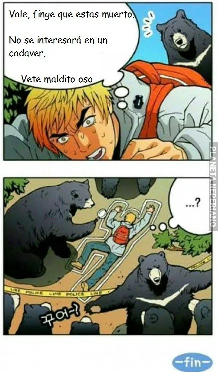 No finjas estar muerto ante un oso