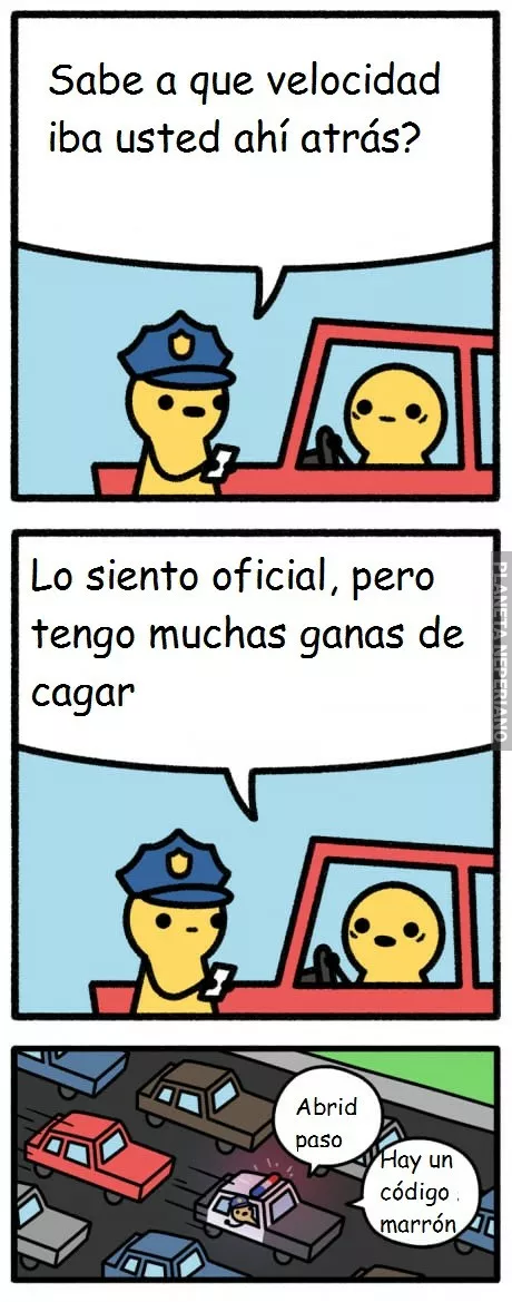 Ayuda policial