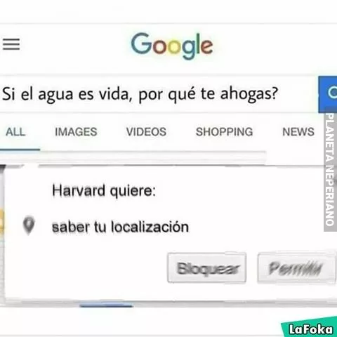 allá voy harvard