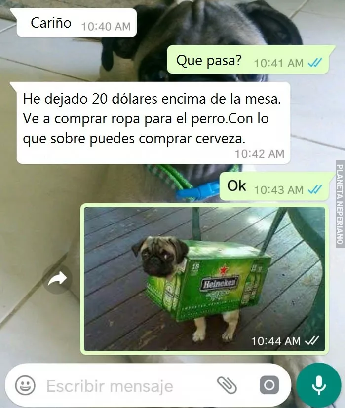 Cervezas y ropa