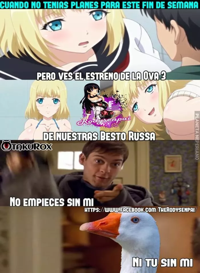por fin :v