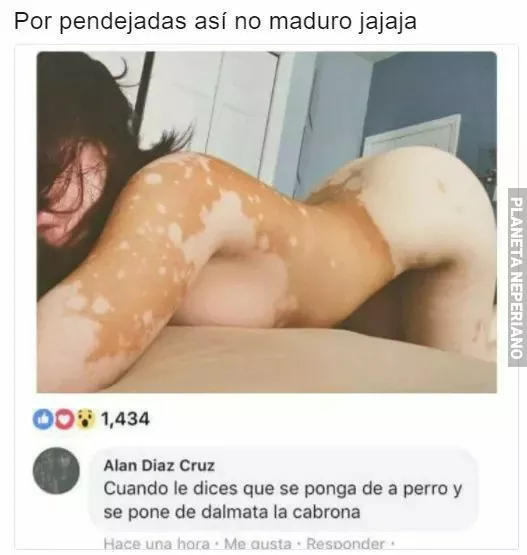 de perrito 