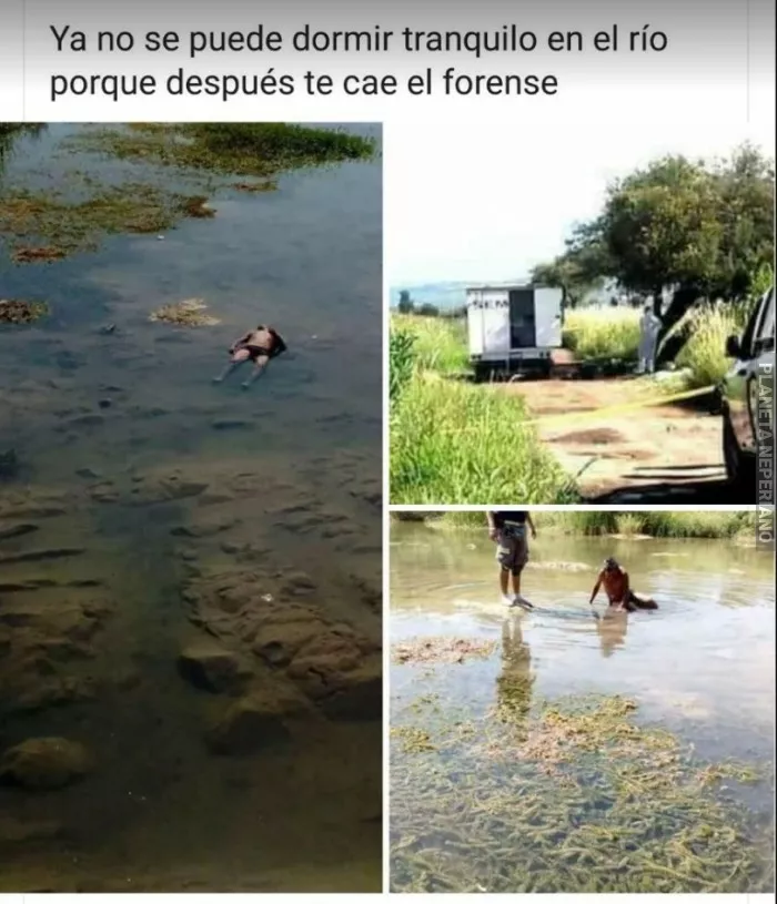 ya ni dormir en el lago se pude