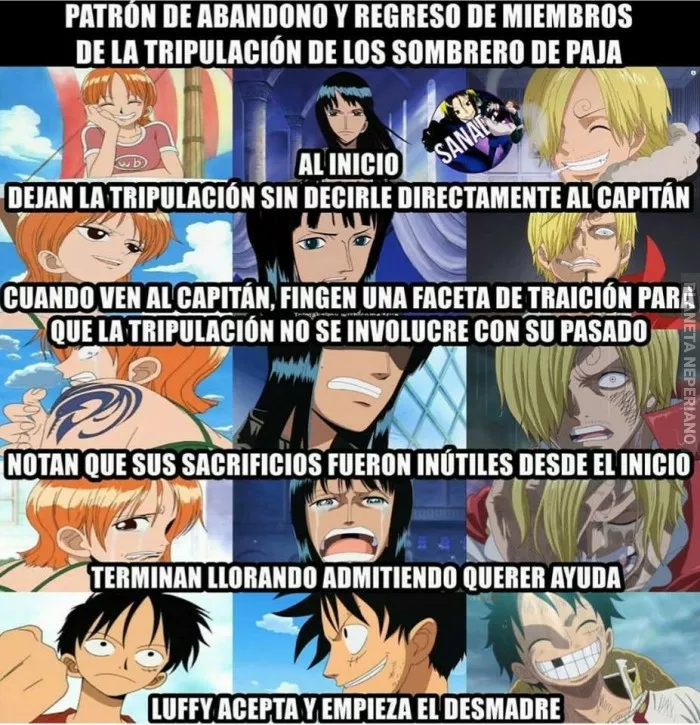 El buen luffy siempre estará ahí para sus nakamas