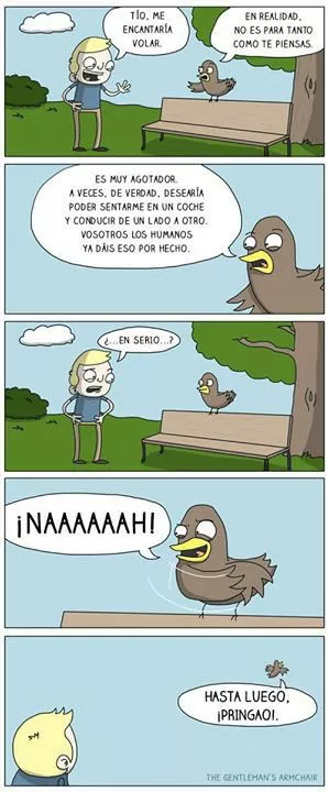 Pajaro troll