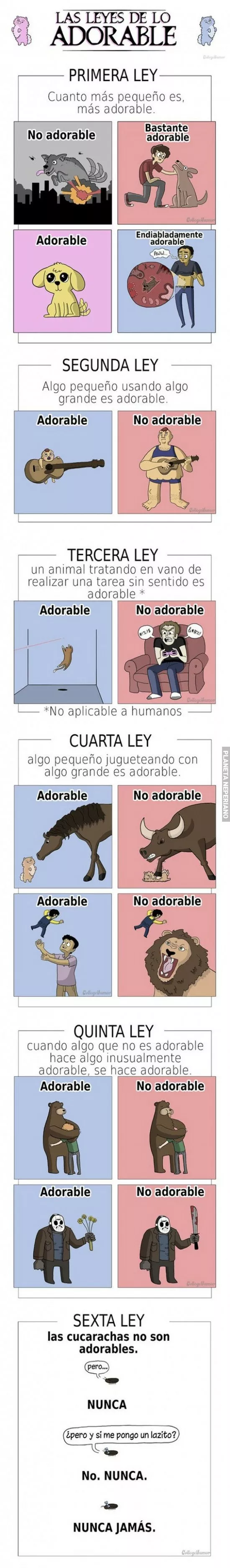 Leyes de lo adorable