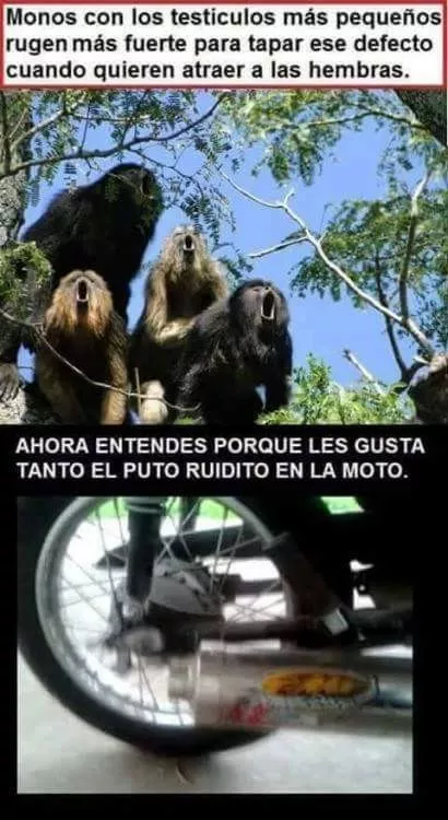 Los que no vivan en argentina no lo van a entender...