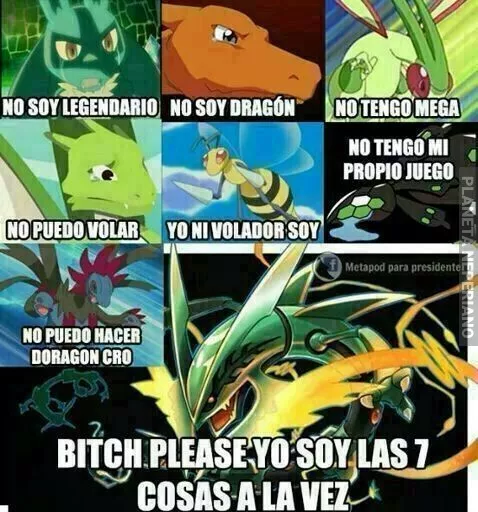 Alaben todos a Rayquaza