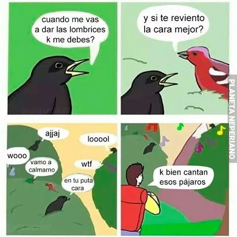 Awwwww el cantar de los pajaros