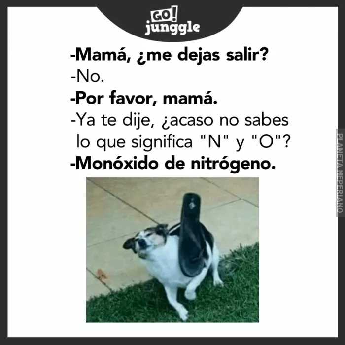 Nunca te hagas el gracioso con tu mama.