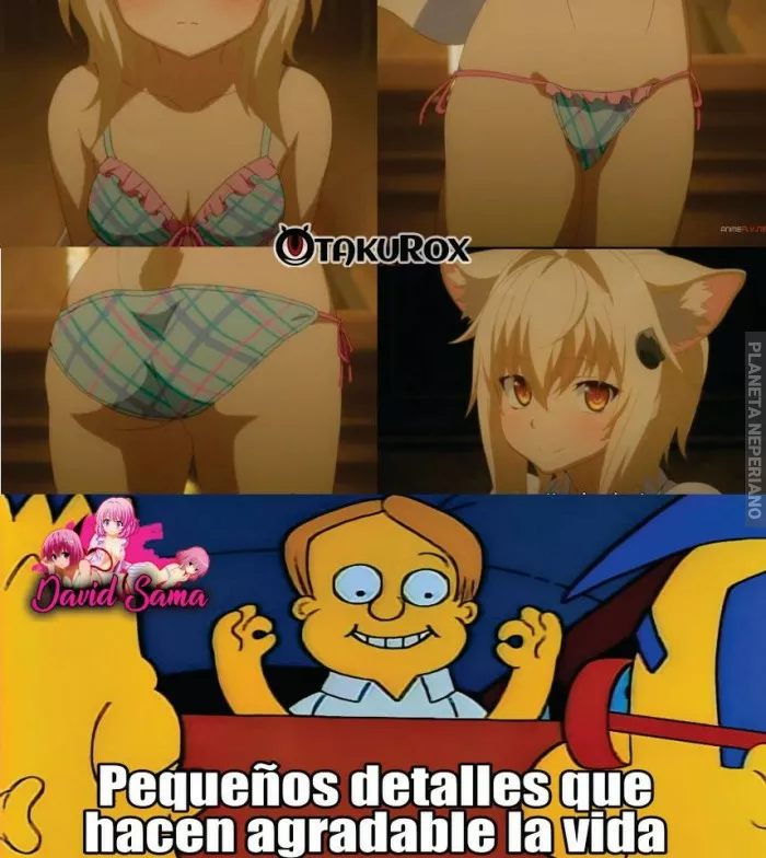 uff esa koneko