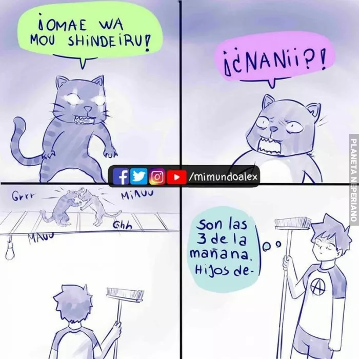 ¿Eso quiere decir que los gatos que peleen cerca de mi casa hablan japones :/?...