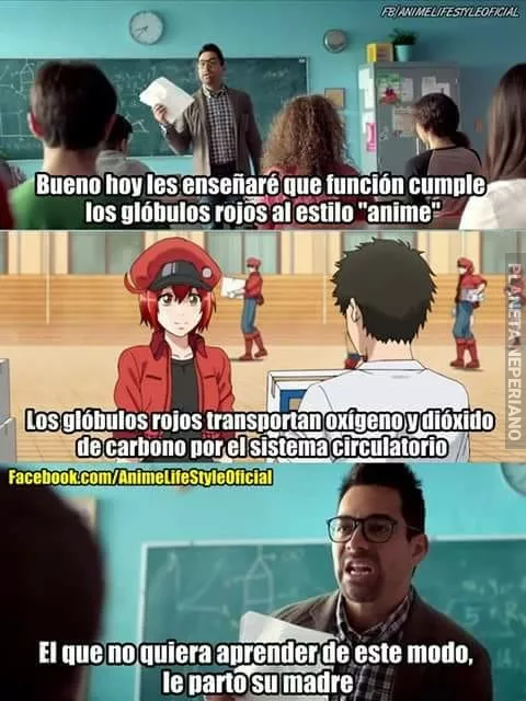 Ni así quieren aprender