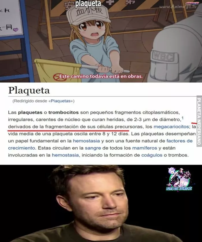 Cada semana mueren muchisimas lolis :v