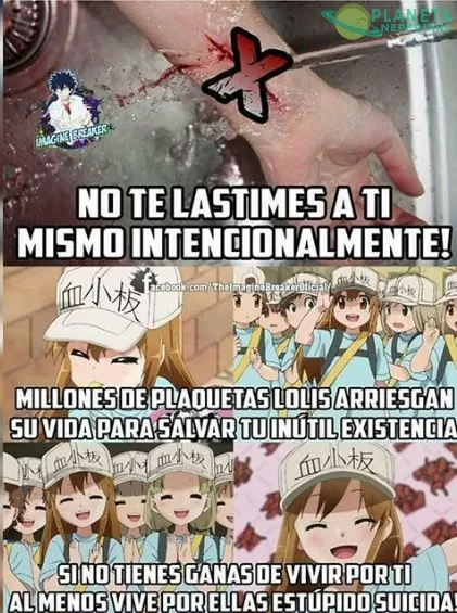 salven a las lolis