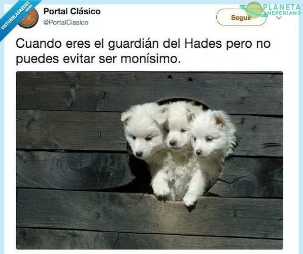 Quiero uno de esos guardianes :D