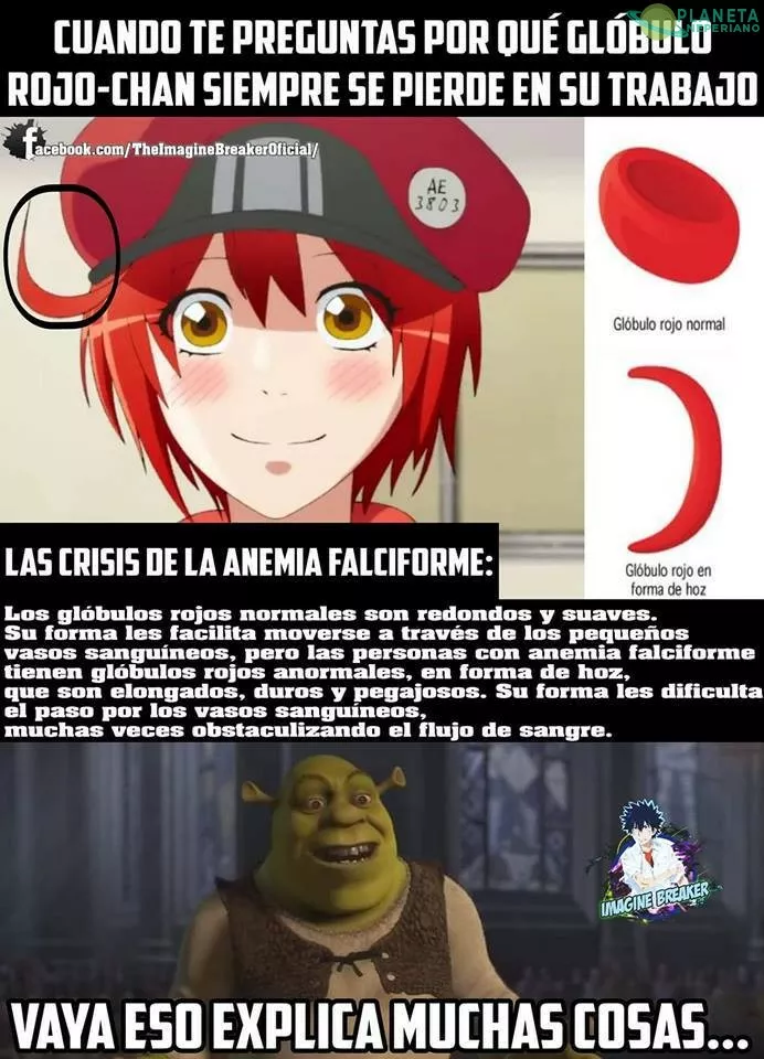 ahora todo tiene sentido con sangre-chan