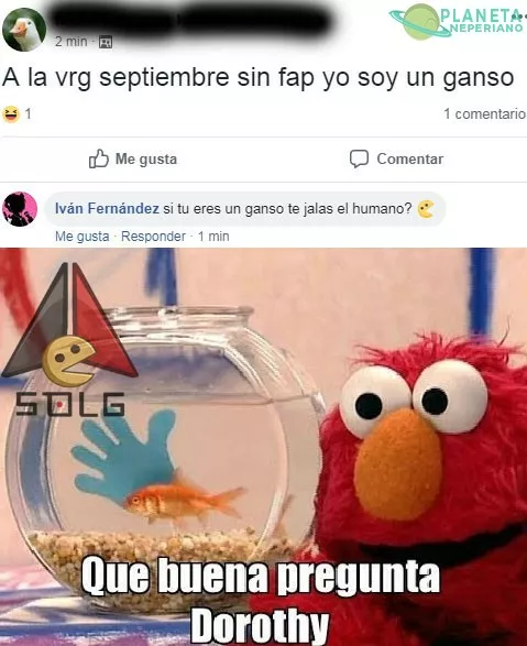 Cual es la respuesta nunca lo sabremos :v