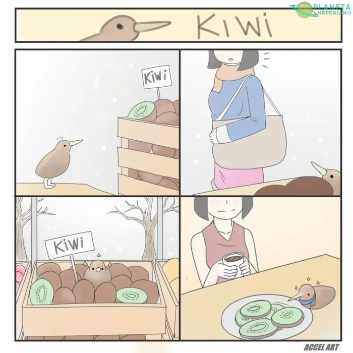 Estaba un kiwi, viendo una caja kiwis