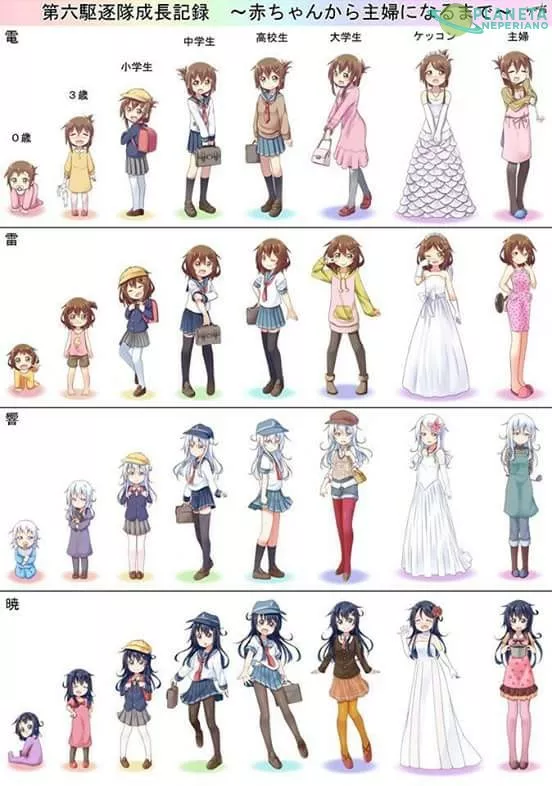 Evolución de las lolis