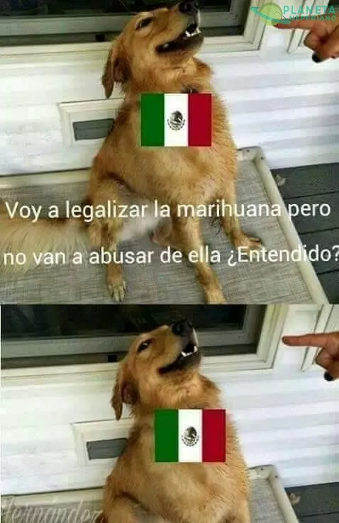 como estamos en mexico