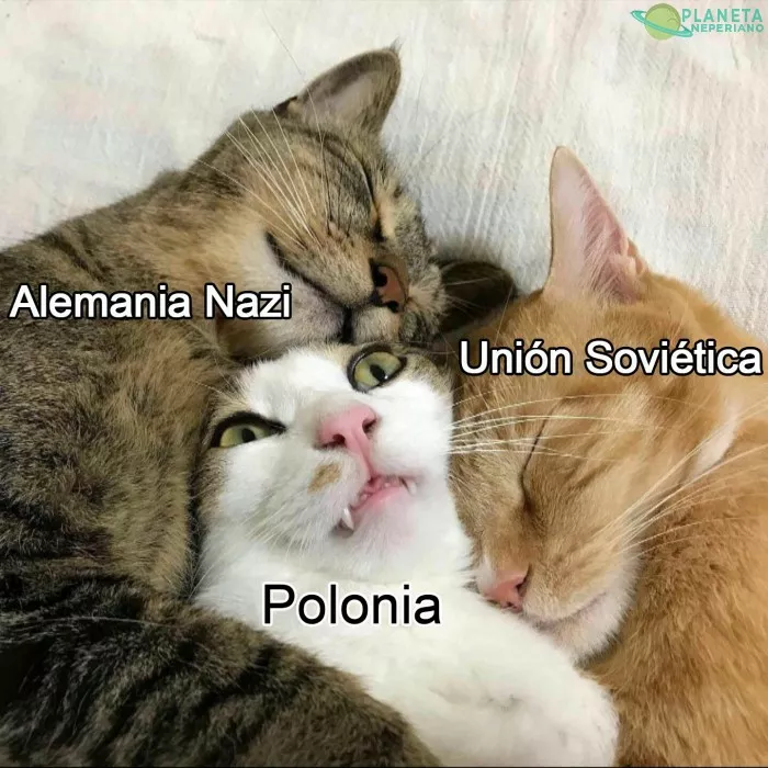 Se nota que Polonia no la pasó muy bien :v