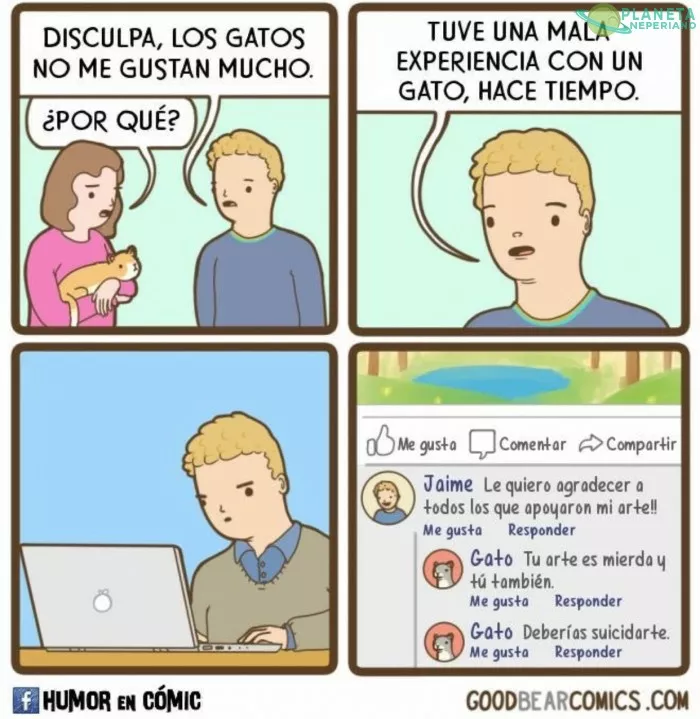 vaya gato