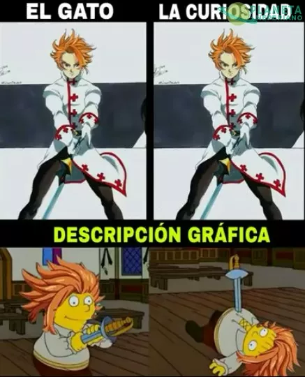 Arthur, curiosidad y gato