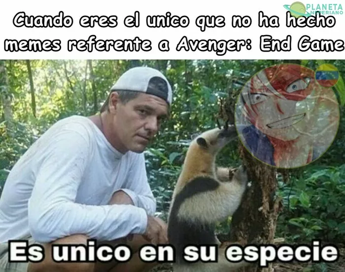 pero en realidad es un meme de Avenger - End Game