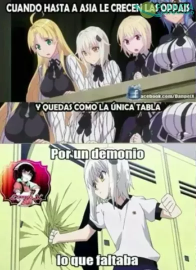 Pobre koneko. Descansa en tabla