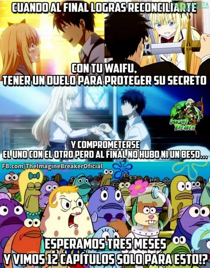 Mejor la neko albina