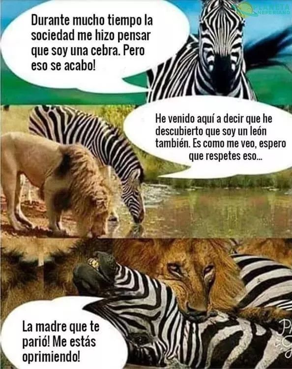 Te creo... pero el ciclo de la vida le importa un carajo :D