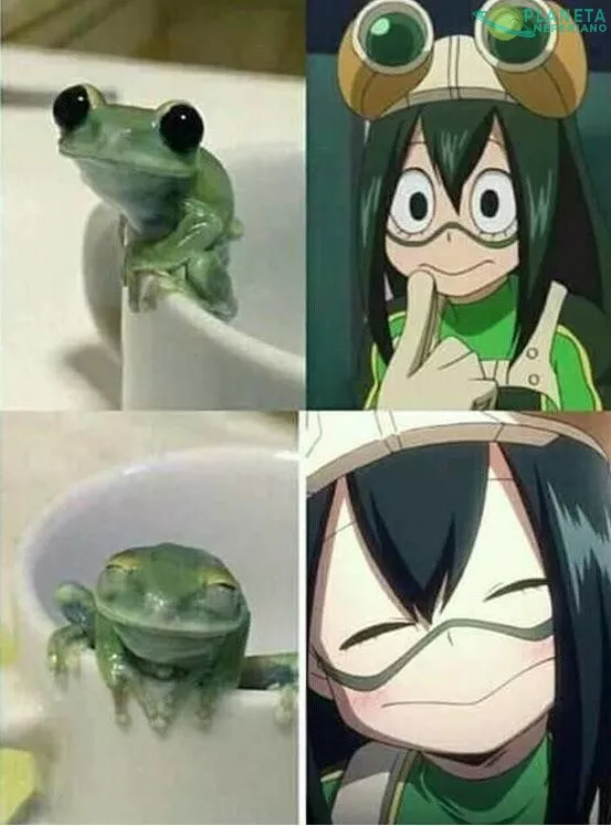 FROPPY!