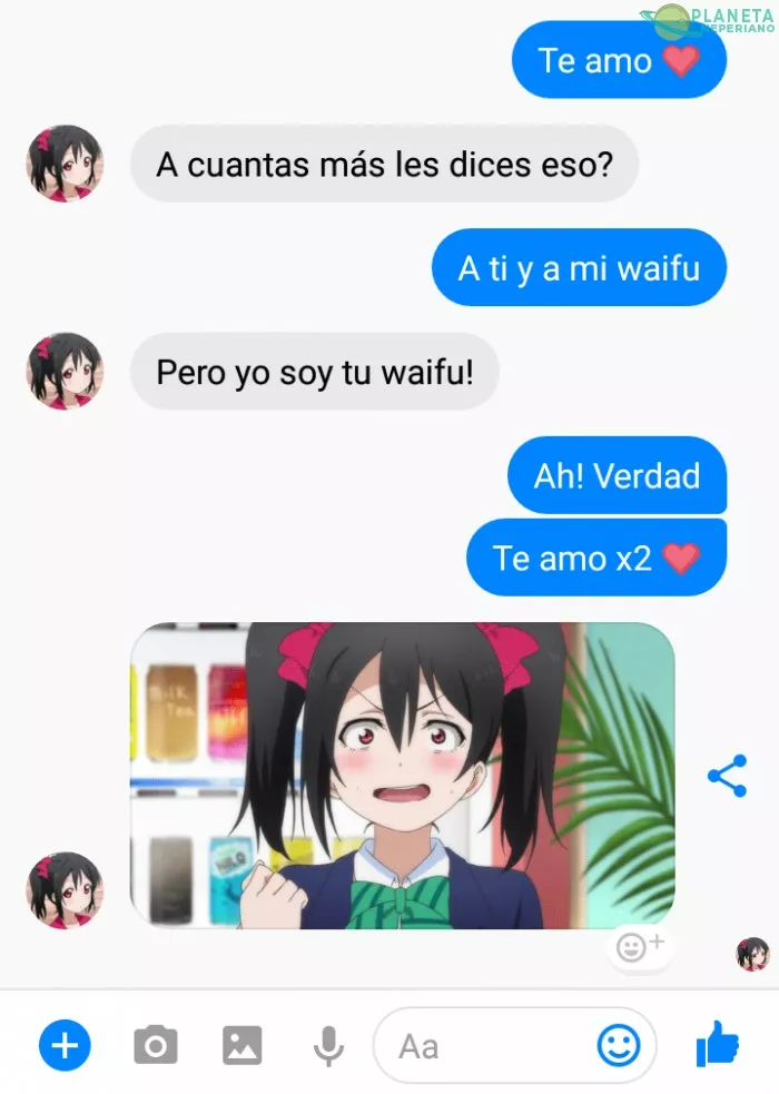 Problemas de tener wifu y novia normie