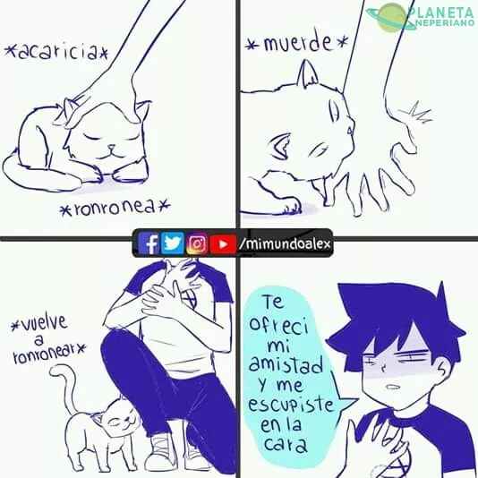 Estúpido felino, no volveré a confiar en ti