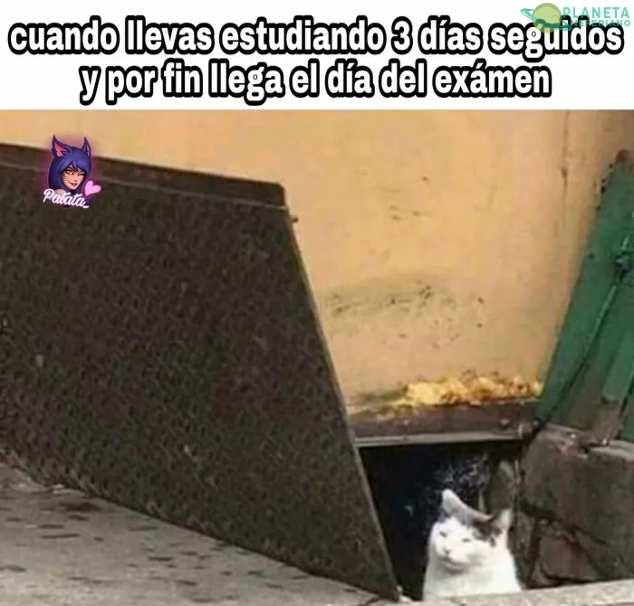 que nos vaiga bien