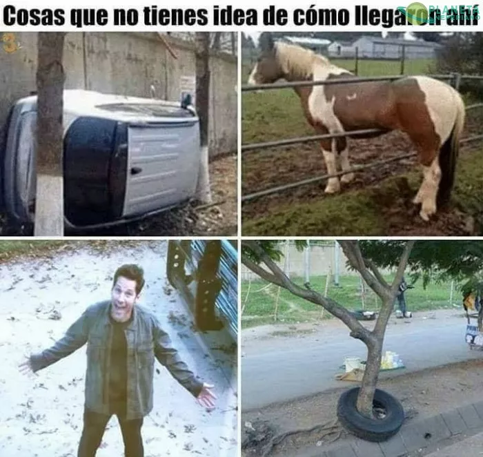 Eso no me lo esperaba