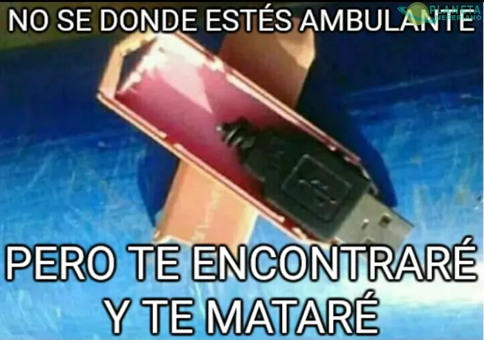 La cacería comienza