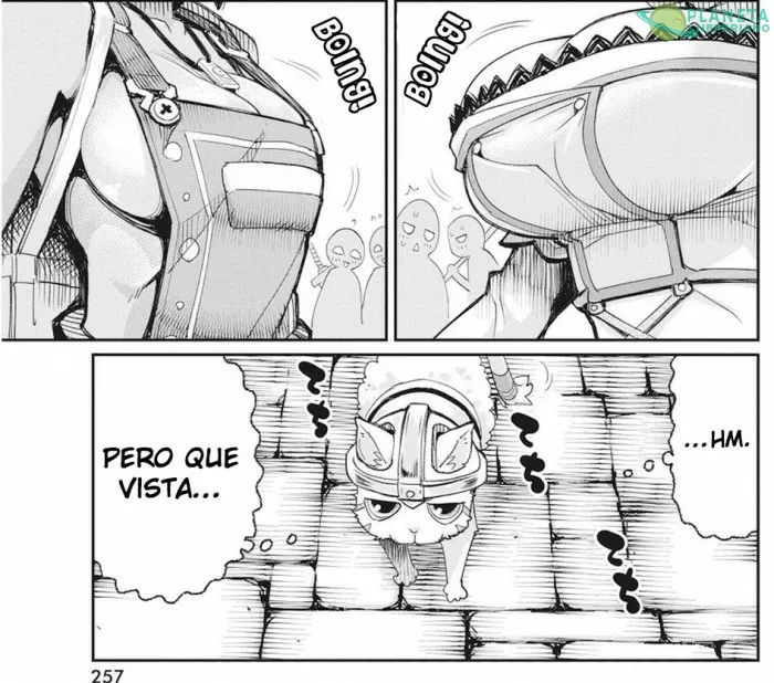 concuerdo con el gato