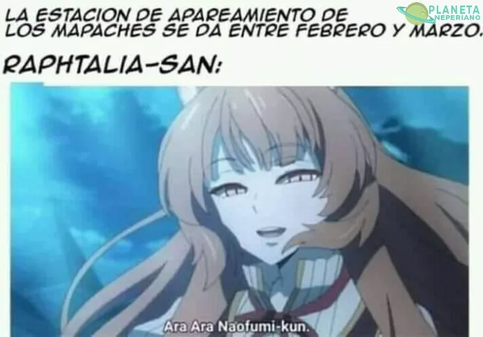 Tu durito y cooperando Naofumi.