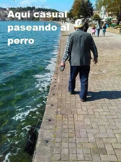 DEJA AL PERRO CON EL ABUELO DECÍAN, NO LE PASARA NADA DECÍAN......XD