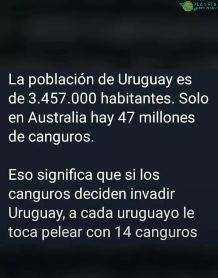 Los canguros dominaran el mundo (╯ ͠° ͟ʖ ͡°)╯┻━┻