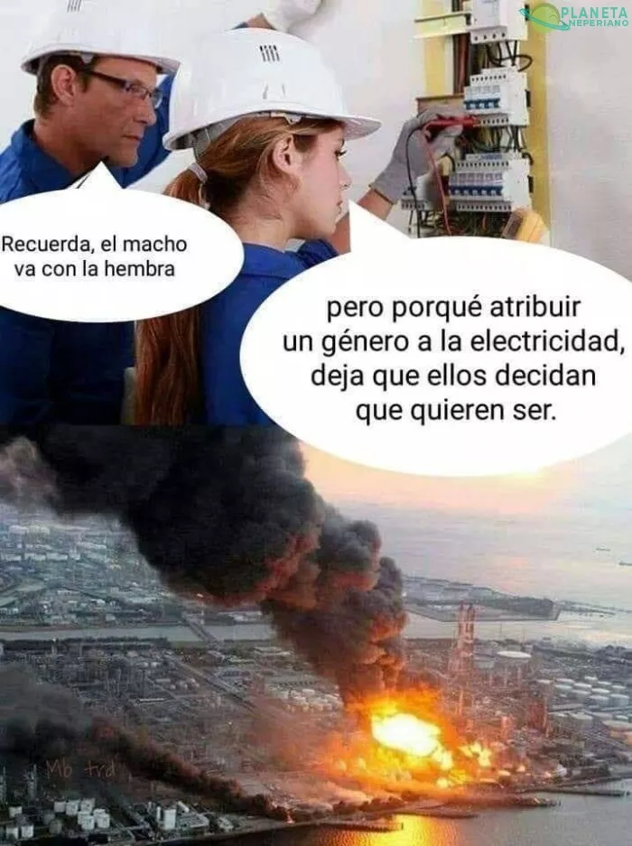 Ven, se los dije.
