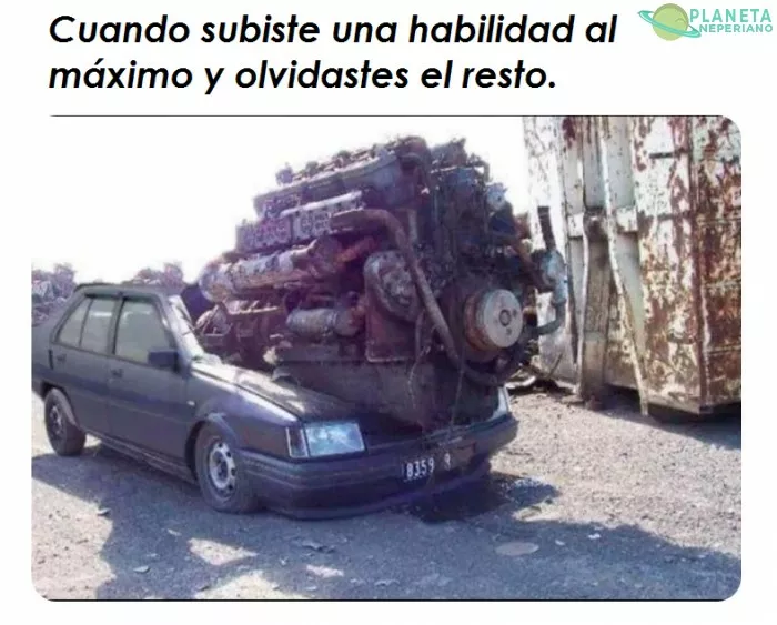 descripción gráfica