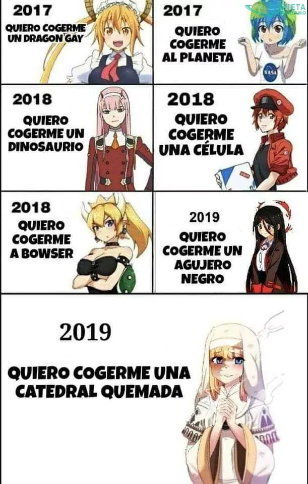 WAIFU SEGUNDONA DEL AÑO