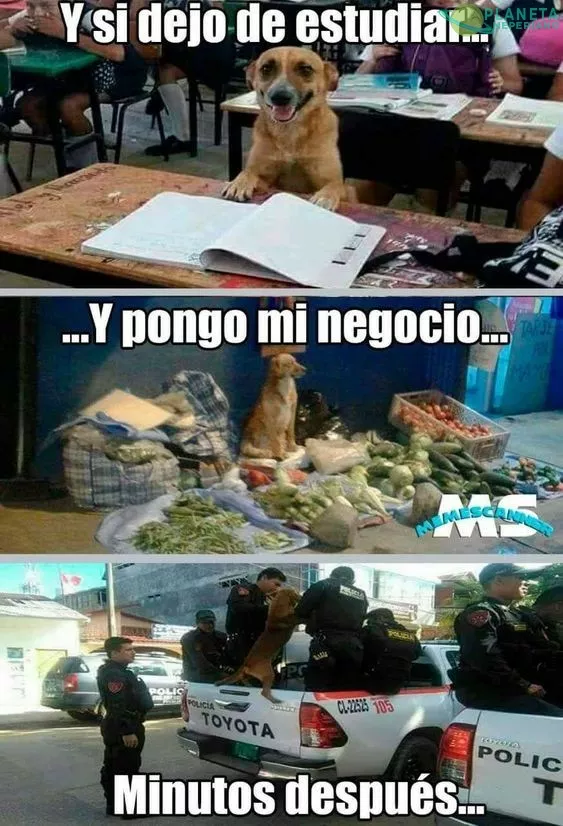 trabajo sin estudios, ni experiencia...